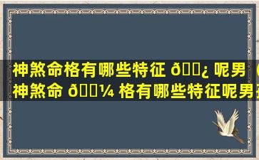 神煞命格有哪些特征 🌿 呢男（神煞命 🌼 格有哪些特征呢男孩）